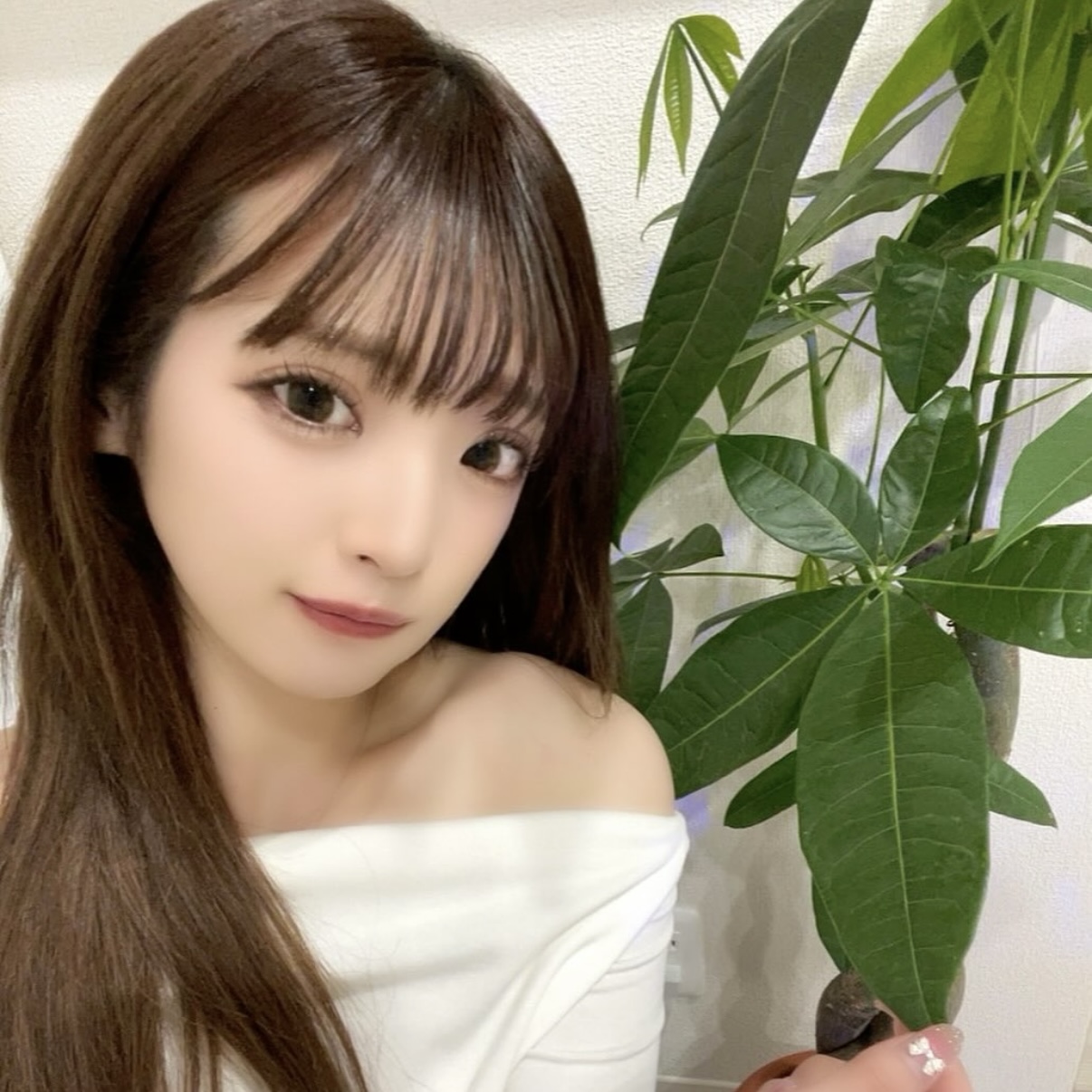 結城あいな