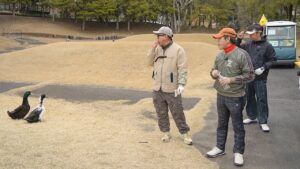 Three men in outdoor gear watch two ducks on a grassy park path nearby, holding drinks and wearing casual jackets and caps.