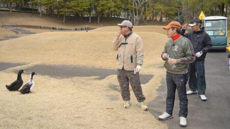 Three men in outdoor gear watch two ducks on a grassy park path nearby, holding drinks and wearing casual jackets and caps.